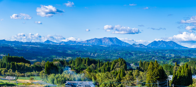 宮崎の山林